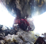 6.4cm PROUSTITE RUBY SILVER Red Crystals Pyrite Mangano Calcite Pyrargyrite Galena Mineral Peru HE180