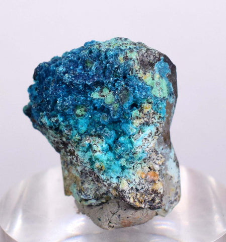 1.9cms  QUARTZ CHRYSOCOLLA TENTADORA Mine Peru Grape Botryoidal Stalactite Crystals Rare Ajoite (?)Mineral Specimen Collectors ce780