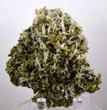 8.2cms EPIDOTE QUARTZ CRYSTALS Peru Cluster Collector Green Yellow Color Mineral Specimen CE809