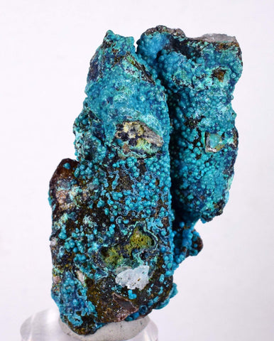 5.8cms  QUARTZ CHRYSOCOLLA TENTADORA Mine Peru Grape Botryoidal Stalactite Crystals Rare Ajoite (?)Mineral Specimen Collectors ce817