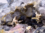 6.5cmACANTHITE RUBY SILVER Rhodochrosite Native Silver Wires Mangano Calcite Pyrargyrite Galena Mineral Peru HE174