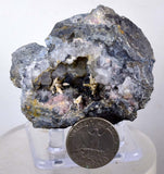 6.5cmACANTHITE RUBY SILVER Rhodochrosite Native Silver Wires Mangano Calcite Pyrargyrite Galena Mineral Peru HE174