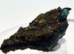 5cms vivianite crystal matrix bolivia mineral specimen collector I23