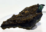 5cms vivianite crystal matrix bolivia mineral specimen collector I23