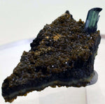 5cms vivianite crystal matrix bolivia mineral specimen collector I23