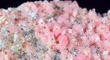 10.3cms RHODOCHROSITE RHOMBOHEDRAL CRYSTAL Quartz Pasto Bueno Peru Collector Mineral Specimen R53