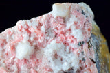 10.1cms RHODOCHROSITE CRYSTALS QUARTZ Needles Rosettes Pasto Bueno Peru Collector Mineral Specimen R55