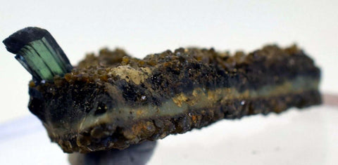 5cms vivianite crystal matrix bolivia mineral specimen collector I23
