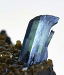5cms vivianite crystal matrix bolivia mineral specimen collector I23