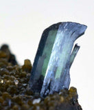 5cms vivianite crystal matrix bolivia mineral specimen collector I23