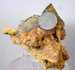 9.5cms GEMMY BARITE CRYSTALS Peru Golden Brown Shiny Translucent Mineral Specimen F268