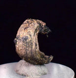 1.3cms NATIVE SILVER WIRES Crystals Peru  Mineral Specimen h86