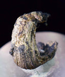 1.3cms NATIVE SILVER WIRES Crystals Peru  Mineral Specimen h86