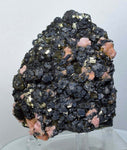 8.7cms GEM RHODOCHROSITE PYRITE Crystals Uchucchacua Mineral Specimen R494
