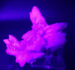 10cm CALCITE FLOWERS SHINY crystal translucent quartz mineral specimen G108