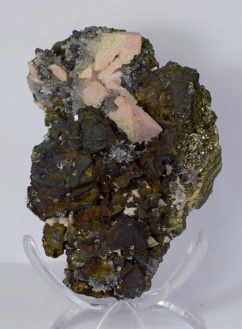 11cms GEM RHODOCHROSITE ROSETTE pyrite quartz crystals mineral specimen R437