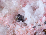 10.1cms RHODOCHROSITE CRYSTALS QUARTZ Needles Rosettes Pasto Bueno Peru Collector Mineral Specimen R55