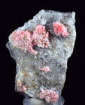 5.8cms RHODOCHROSITE CRYSTALS QUARTZ Needles Rosettes Pasto Bueno Peru Collector Mineral Specimen R74