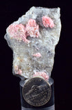 5.8cms RHODOCHROSITE CRYSTALS QUARTZ Needles Rosettes Pasto Bueno Peru Collector Mineral Specimen R74