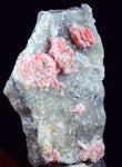 5.8cms RHODOCHROSITE CRYSTALS QUARTZ Needles Rosettes Pasto Bueno Peru Collector Mineral Specimen R74