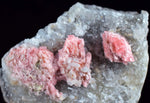 5.8cms RHODOCHROSITE CRYSTALS QUARTZ Needles Rosettes Pasto Bueno Peru Collector Mineral Specimen R74