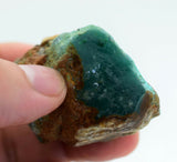 339.5carats GEM SILICA CHRYSOCOLLA chalcedony emerald jade color lily mine s894