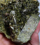 12ms PREMIUM EPIDOTE CRYSTALS cluster peru green color mineral specimen C529