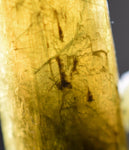 35carat ZOISITE NEEDLES CRYSTAL tanzanite (?) clinozoisite green yellow peru M58