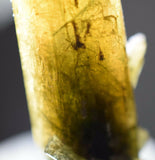 35carat ZOISITE NEEDLES CRYSTAL tanzanite (?) clinozoisite green yellow peru M58