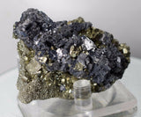 5.6cms GALENA PYRITE PERU crystals cluster collectors mineral specimen G77