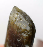 64carat ZOISITE NEEDLES CRYSTAL tanzanite (?) clinozoisite green yellow peru M53