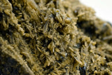 26cms CLINOZOISITE CRYSTALS CLUSTER epidote green yellow peru