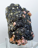 8.7cms GEM RHODOCHROSITE PYRITE Crystals Uchucchacua Mineral Specimen R494