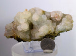 11.5cms PREHNITE STALACTITES crystals epidote tourmaline zoisite peru u154