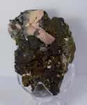 11cms GEM RHODOCHROSITE ROSETTE pyrite quartz crystals mineral specimen R437