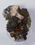 11cms GEM RHODOCHROSITE ROSETTE pyrite quartz crystals mineral specimen R437