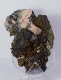 11cms GEM RHODOCHROSITE ROSETTE pyrite quartz crystals mineral specimen R437