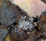11cms GEM RHODOCHROSITE ROSETTE pyrite quartz crystals mineral specimen R437