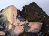 11cms GEM RHODOCHROSITE ROSETTE pyrite quartz crystals mineral specimen R437