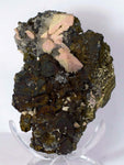 11cms GEM RHODOCHROSITE ROSETTE pyrite quartz crystals mineral specimen R437