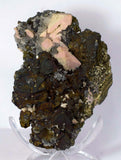 11cms GEM RHODOCHROSITE ROSETTE pyrite quartz crystals mineral specimen R437