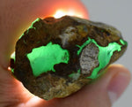 339.5carats GEM SILICA CHRYSOCOLLA chalcedony emerald jade color lily mine s894