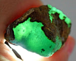 339.5carats GEM SILICA CHRYSOCOLLA chalcedony emerald jade color lily mine s894