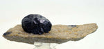 9.2cms BOURNONITE " COGWHEEL " CRYSTAL quartz bolivia mineral specimen G148
