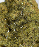 13ms PREMIUM EPIDOTE CRYSTALS cluster peru green color mineral specimen C442