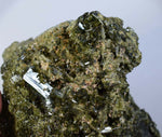 12ms PREMIUM EPIDOTE CRYSTALS cluster peru green color mineral specimen C529