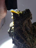 26cms CLINOZOISITE CRYSTALS CLUSTER epidote green yellow peru