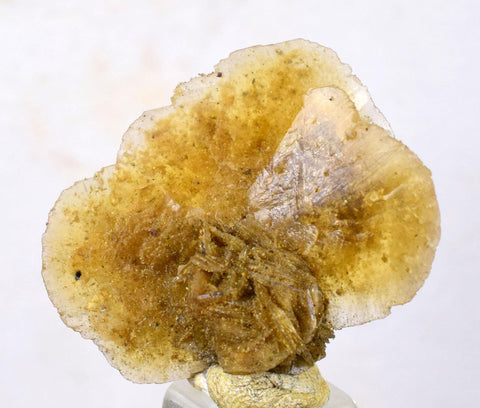 3cms SELENITE DESERT ROSE gypsum crystals collectors peru mineral specimen t289