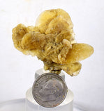 4cms SELENITE DESERT ROSE gypsum crystals collectors peru mineral specimen t291