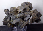15cms SELENITE DESERT ROSE Gypsum Crystals Collectors Peru Mineral Specimen t303